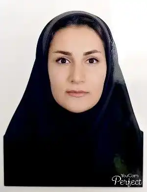 نگار سرائی